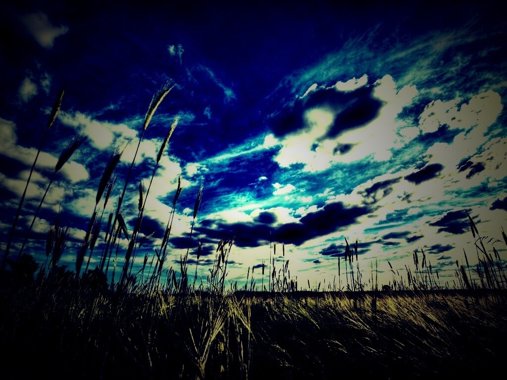 HDR Поле обои