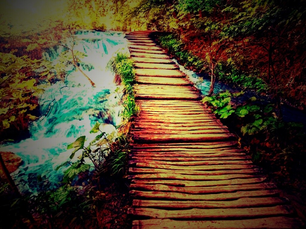 Деревянная дорожка над ручьем обои