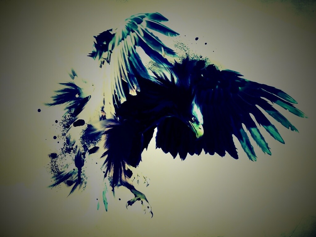 Скетч с орлом обои