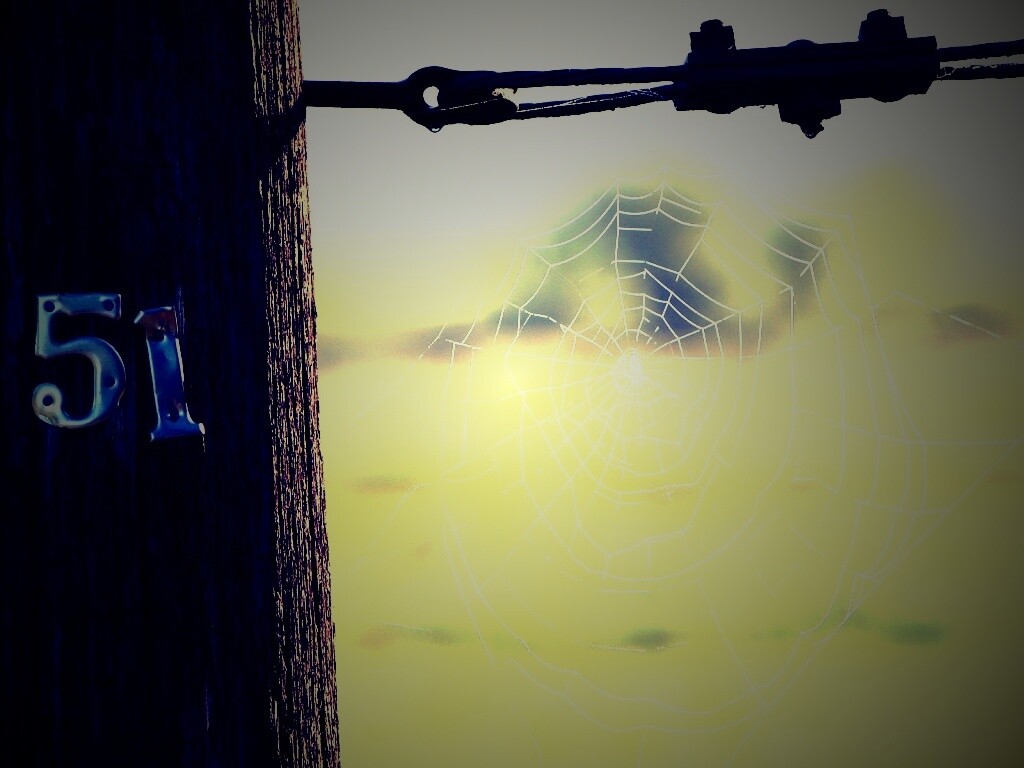 Паутина 51 обои