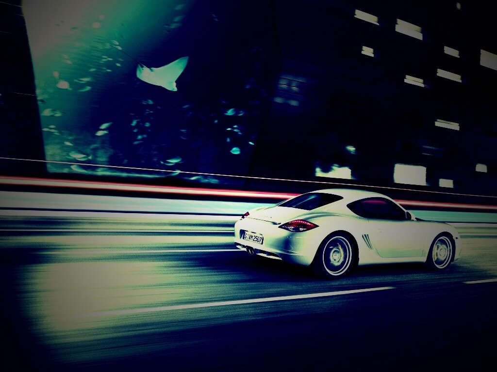 Porsche на трассе обои