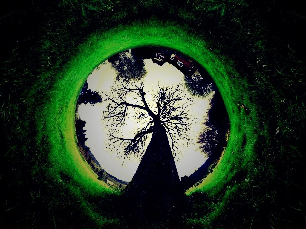 Другой взгляд на мир обои