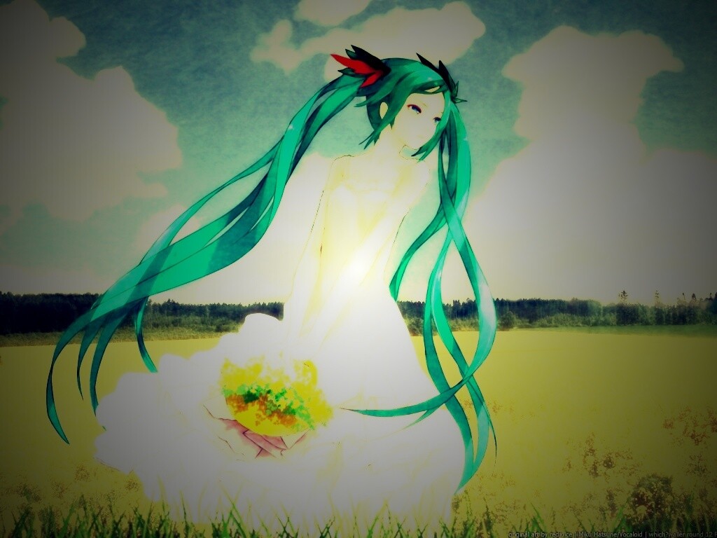 Хатсуне в поле обои