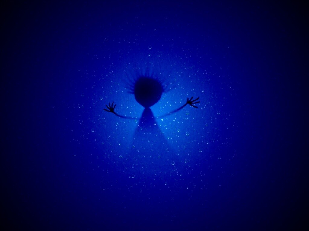 Силуэт обои