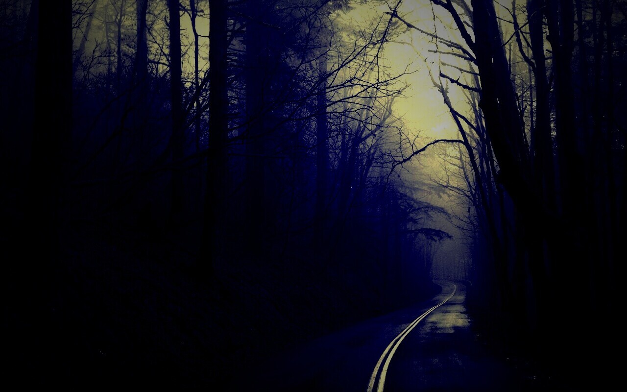 В туман обои