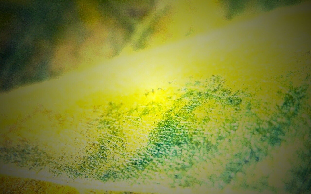 Повехность листа обои