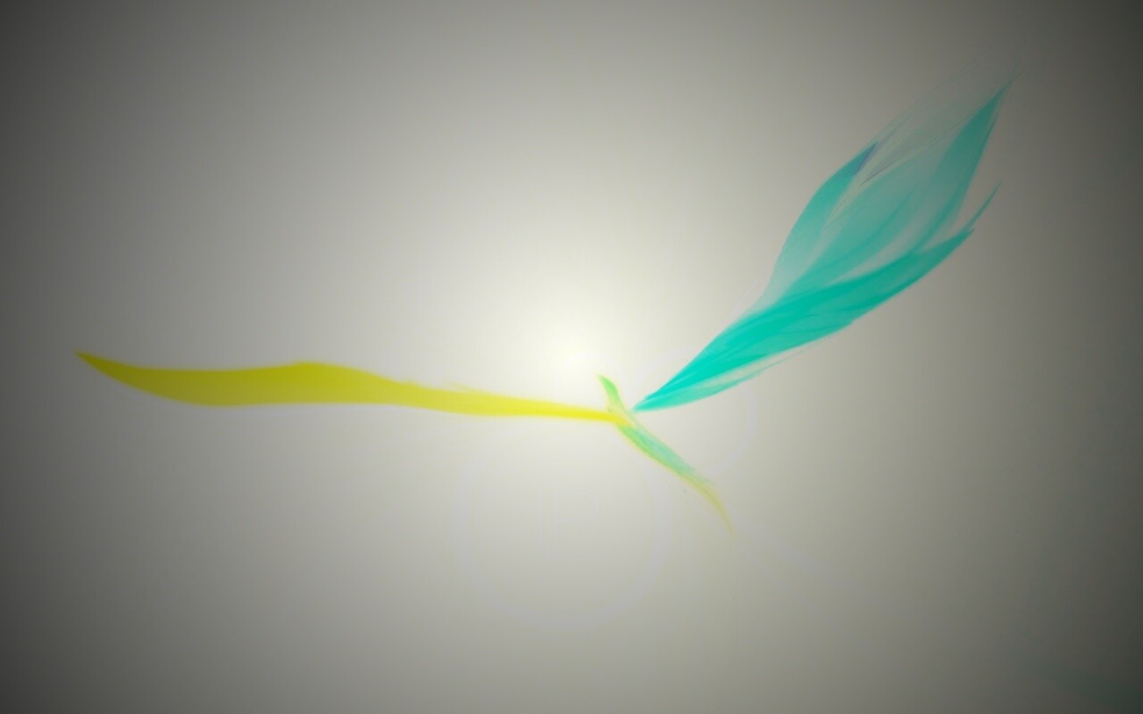 Силуэт птицы обои