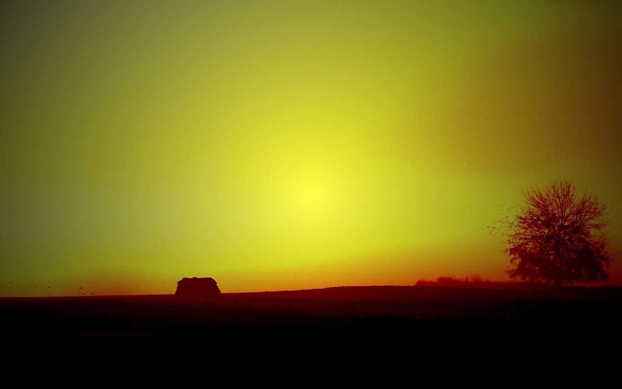 Убранное поле обои