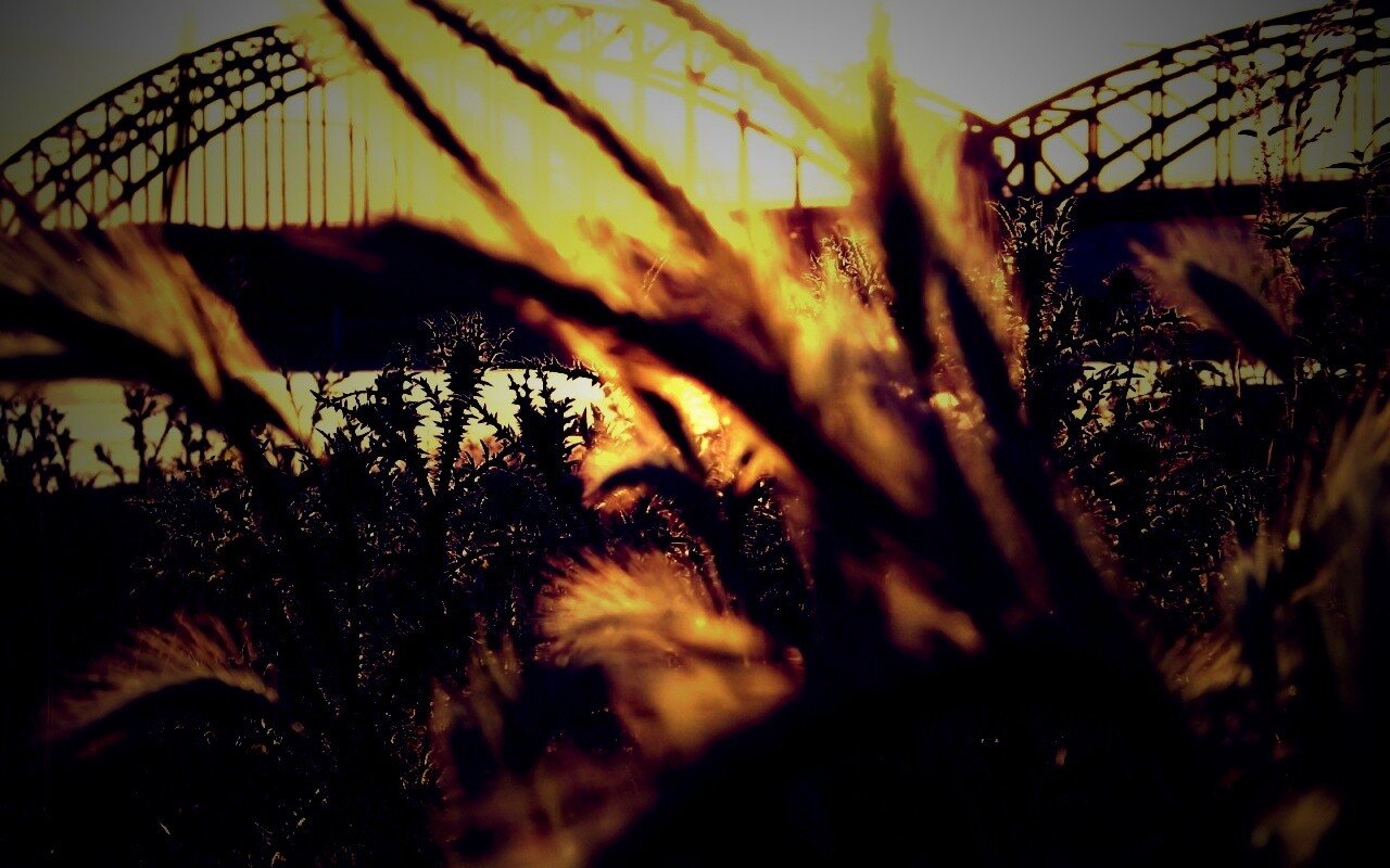 Железнодорожный мост обои