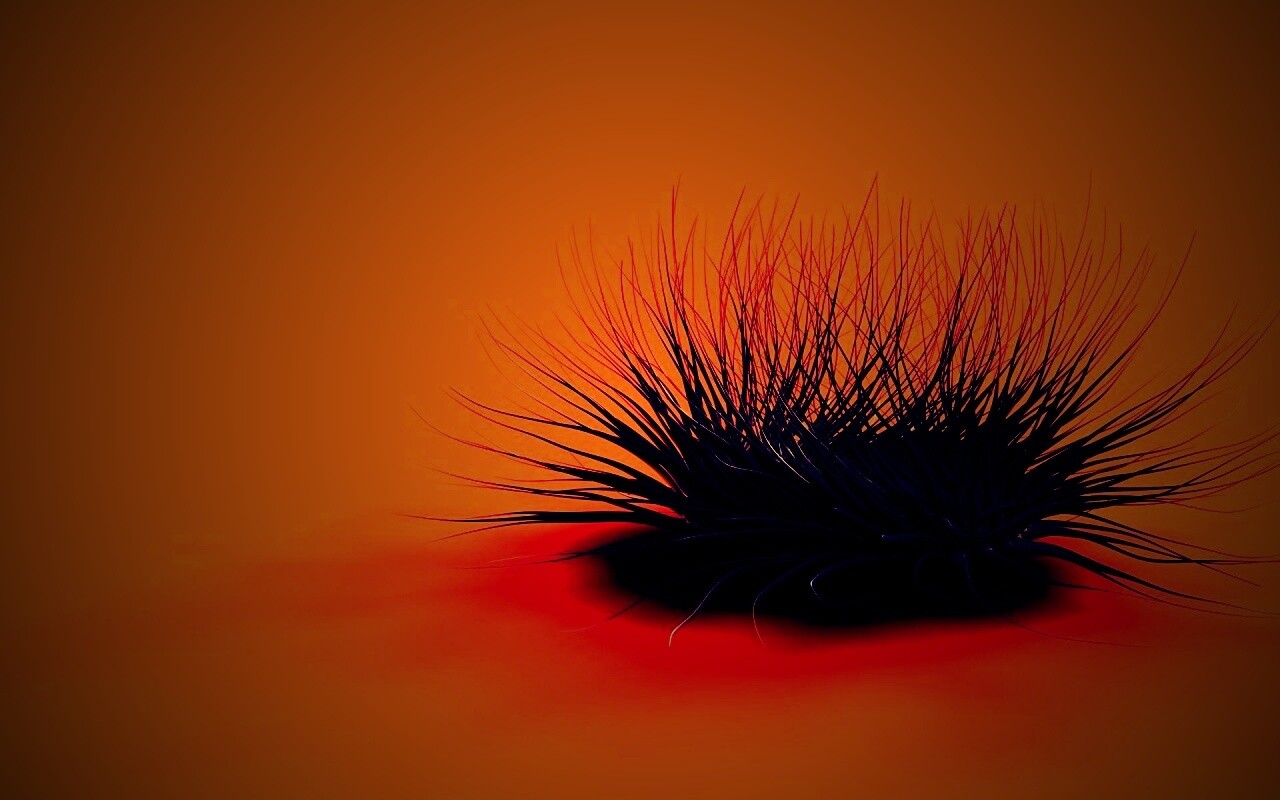 Волосатая мочалка обои