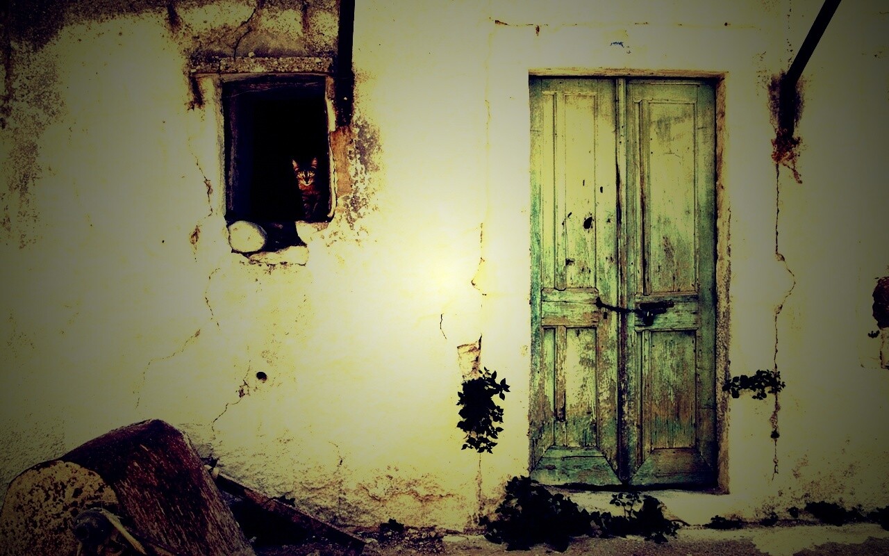 Кот выглядывает из разрушенного дома обои
