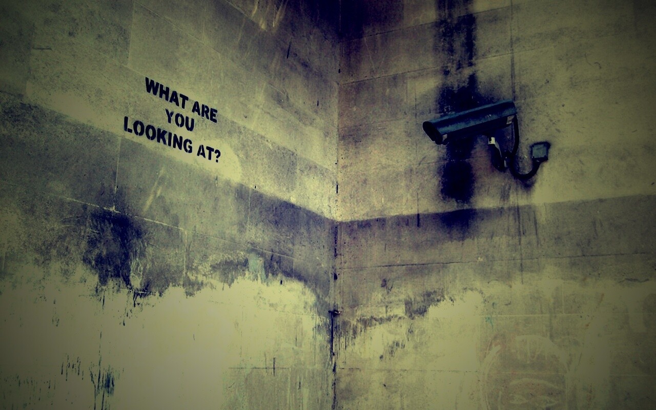 На что ты смотришь? обои