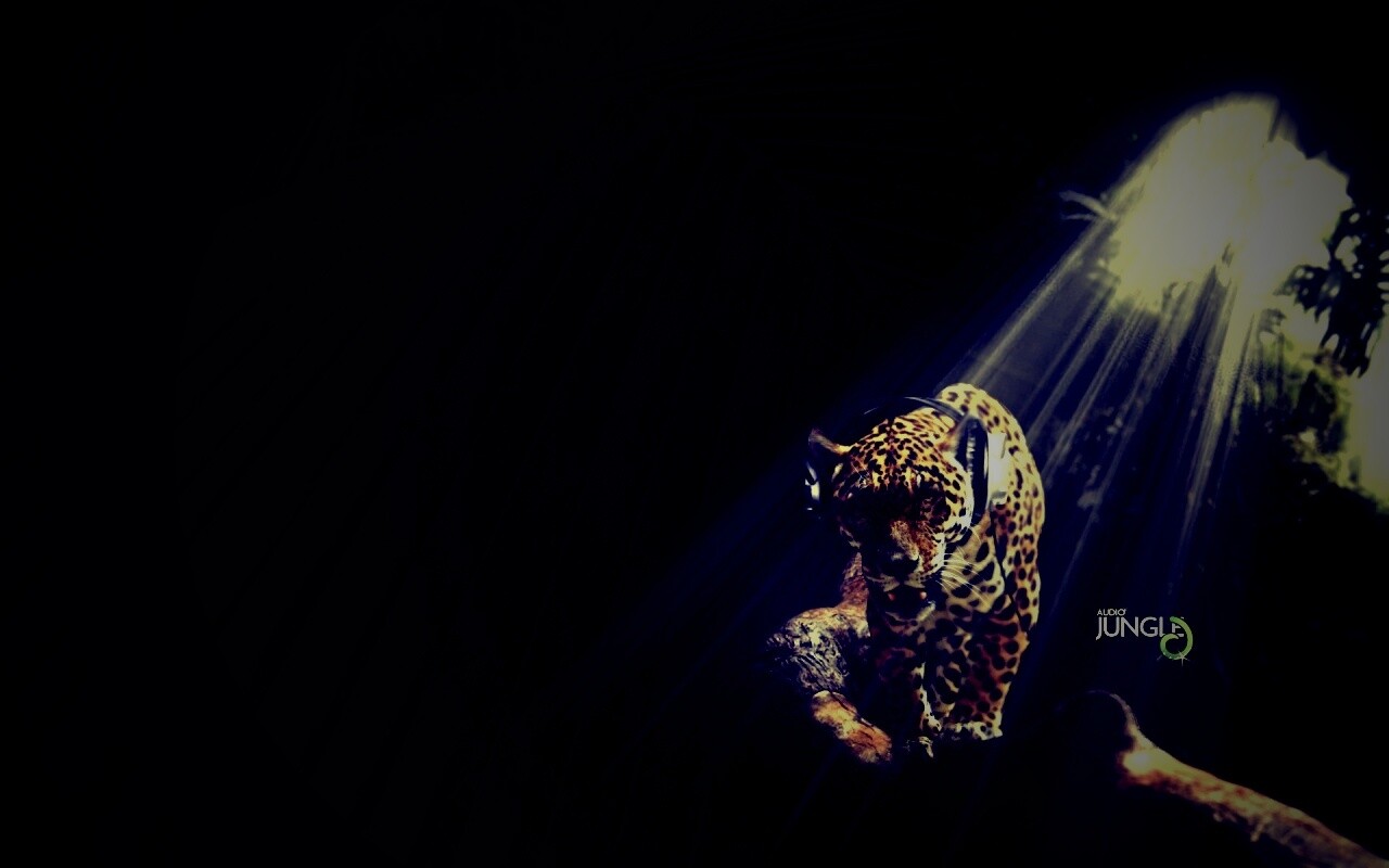 Ягуар в наушниках обои