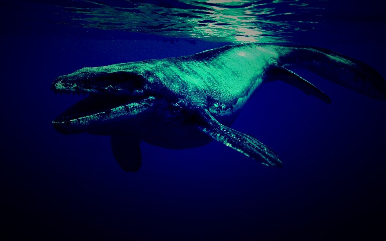 Морской динозавр обои