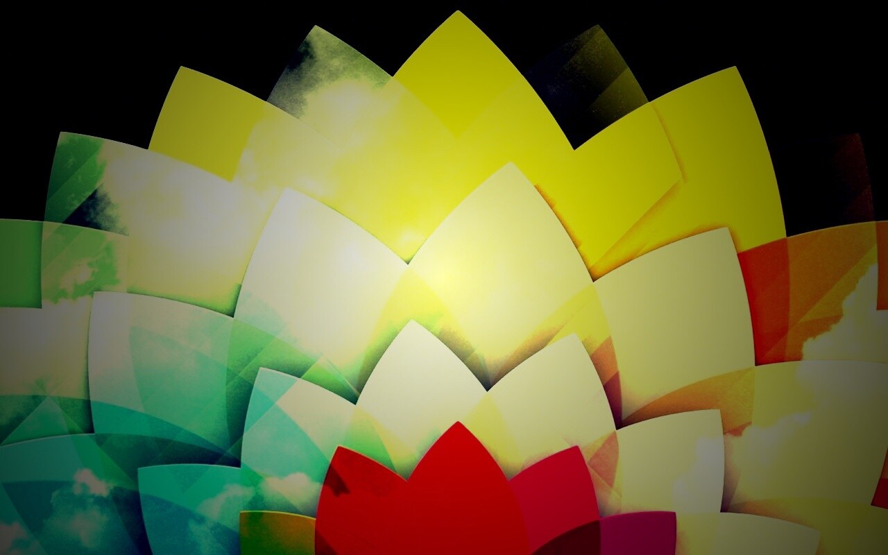 Радужный цветок обои