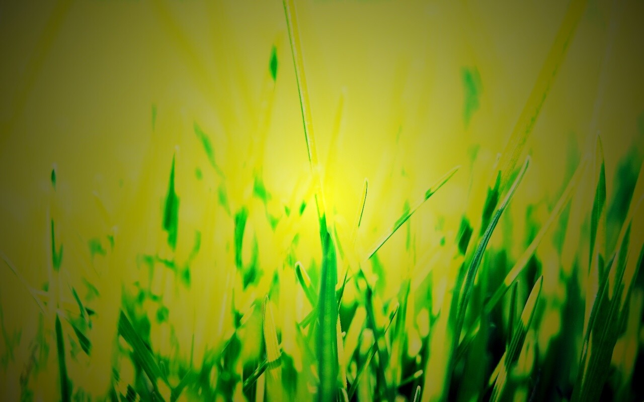 Ярко зеленая трава обои