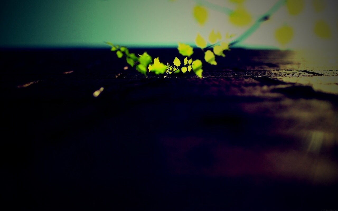 Зеленые ростки в стене обои