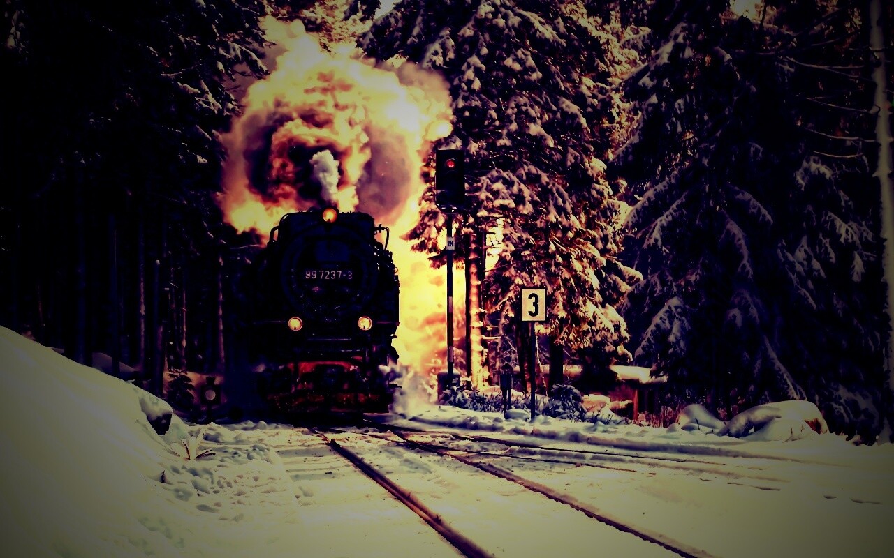 Паровоз в димнем лесу обои