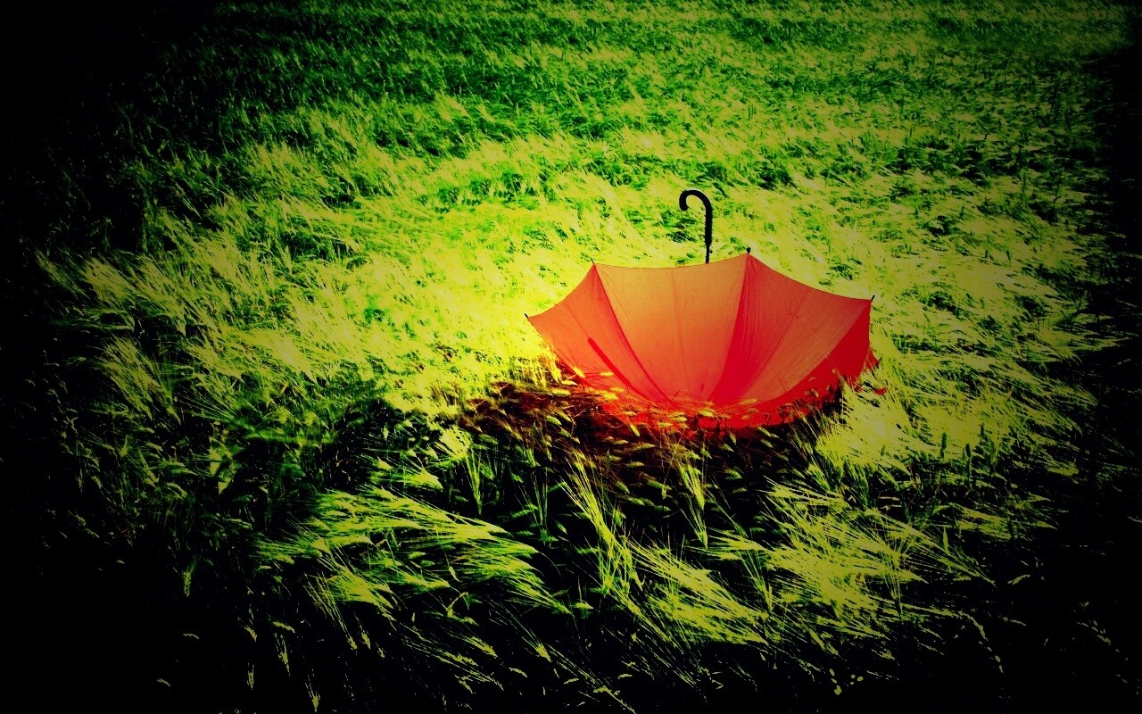 Зонт на траве обои