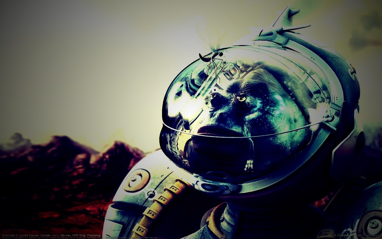 Инопланетянин и стрекоза обои