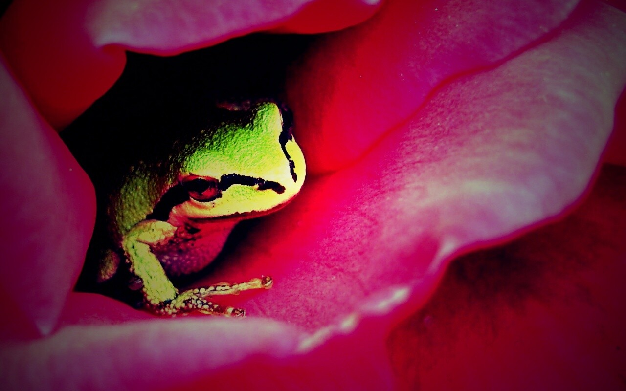 Куда это ты смотришь? обои