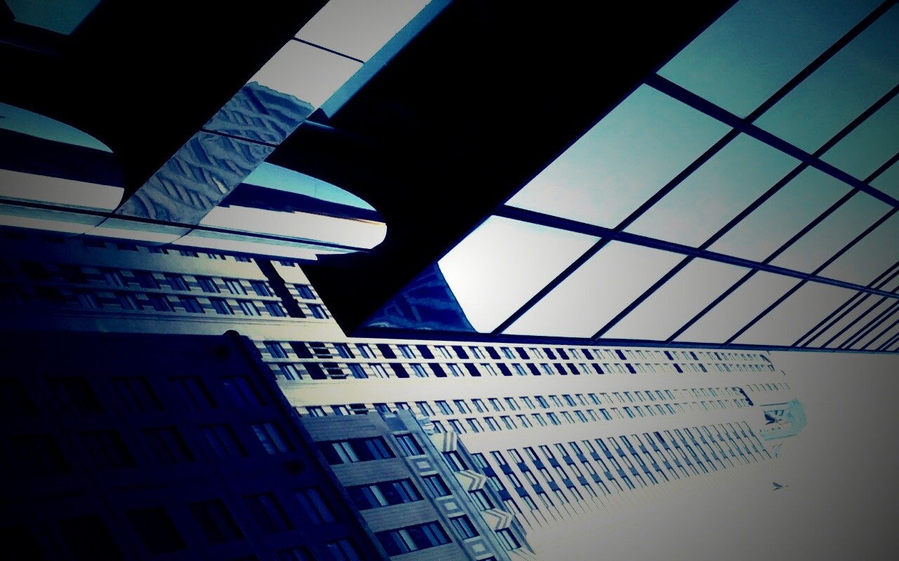 Взгляд вверх обои