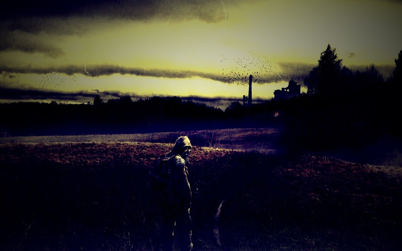 Сталкер под дождем обои