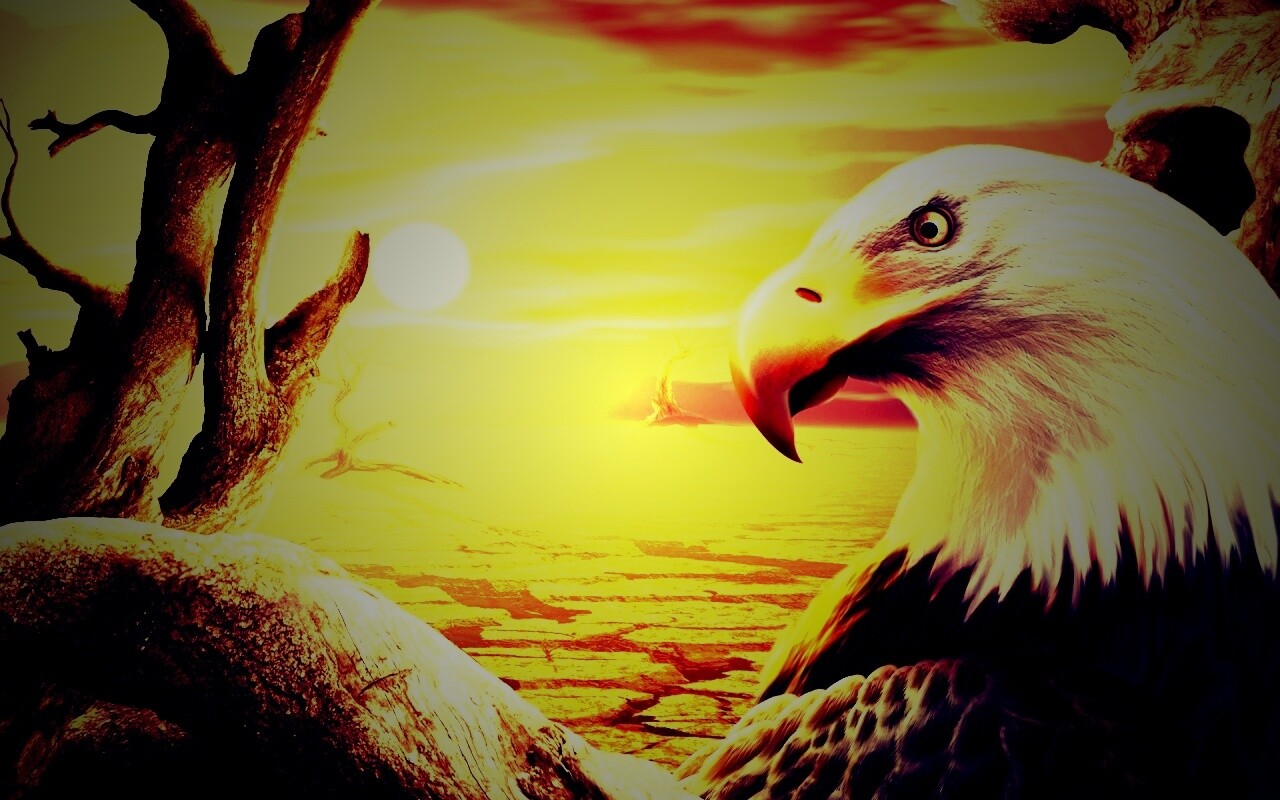 Нарисованный орел обои