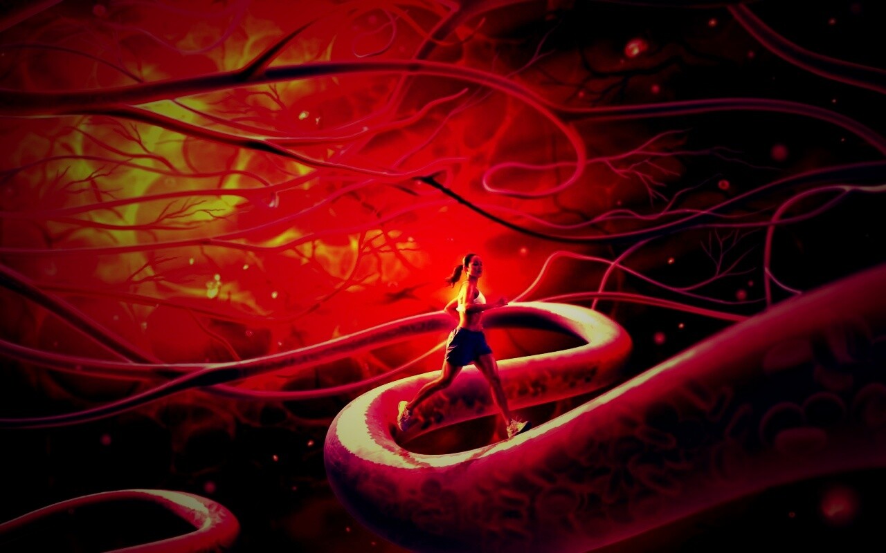 Бег крови обои