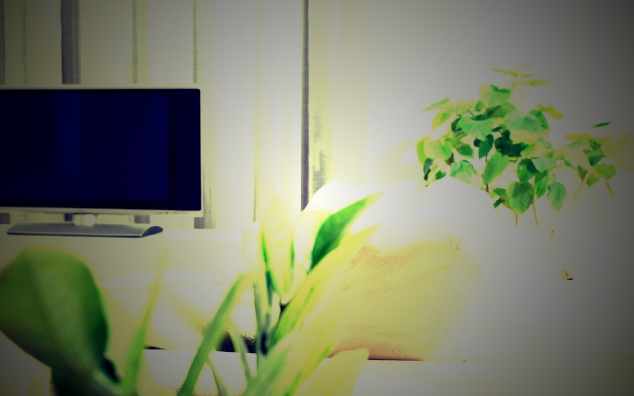 Белая комната обои