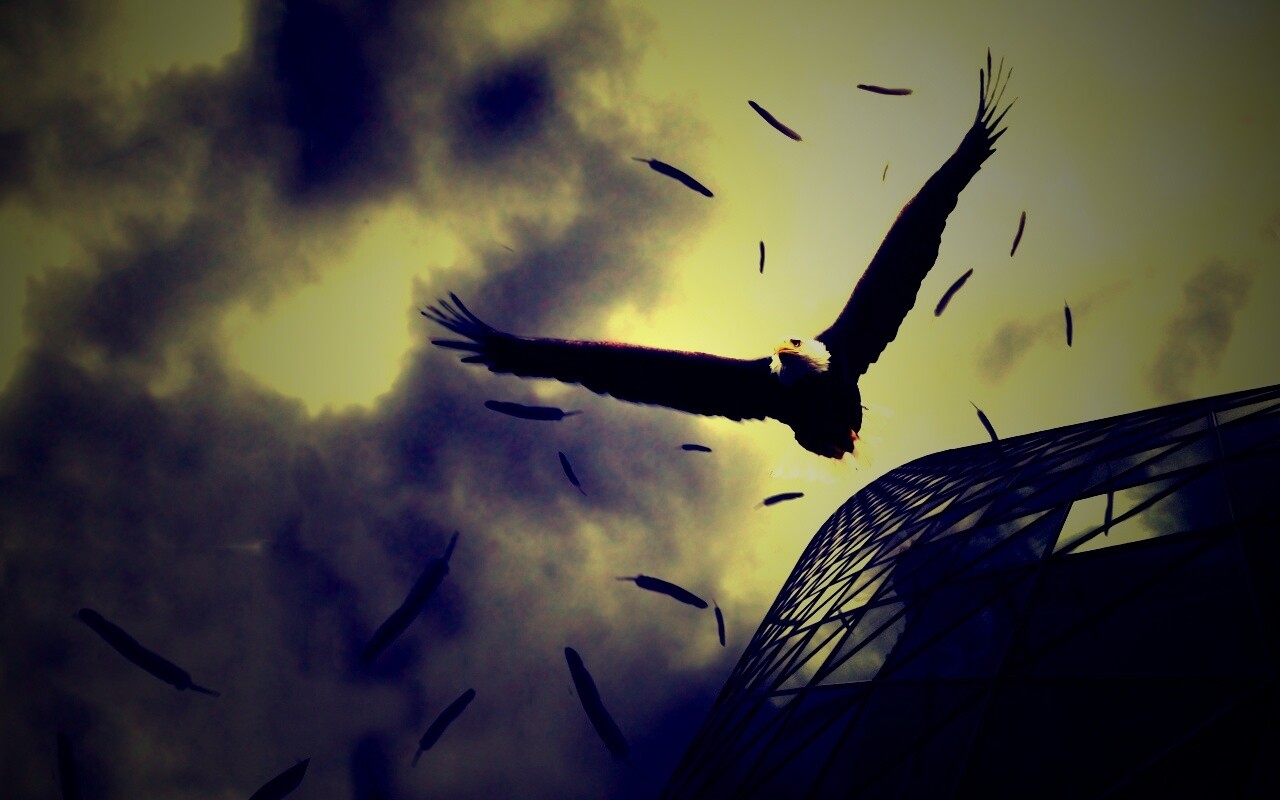 Орлиный полет обои