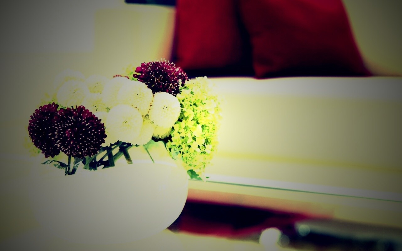 Цветы в белой вазе обои
