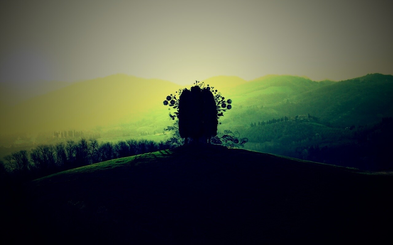 Деревья на холме обои