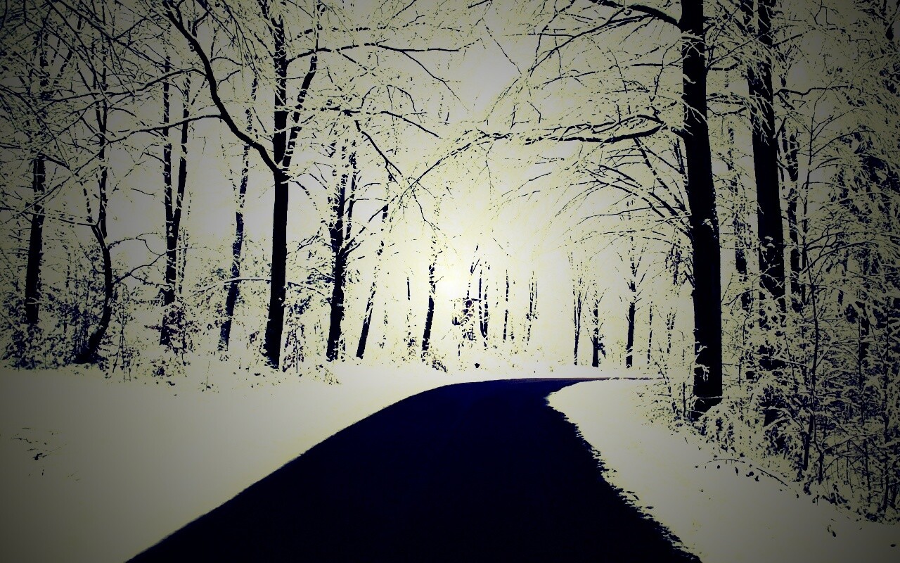 Дорога в зимнем лесу обои