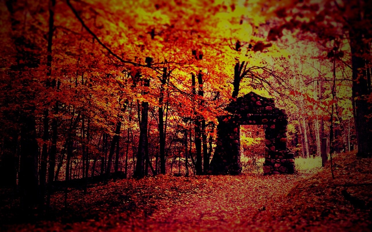 Каменная арка в осеннем лесу обои