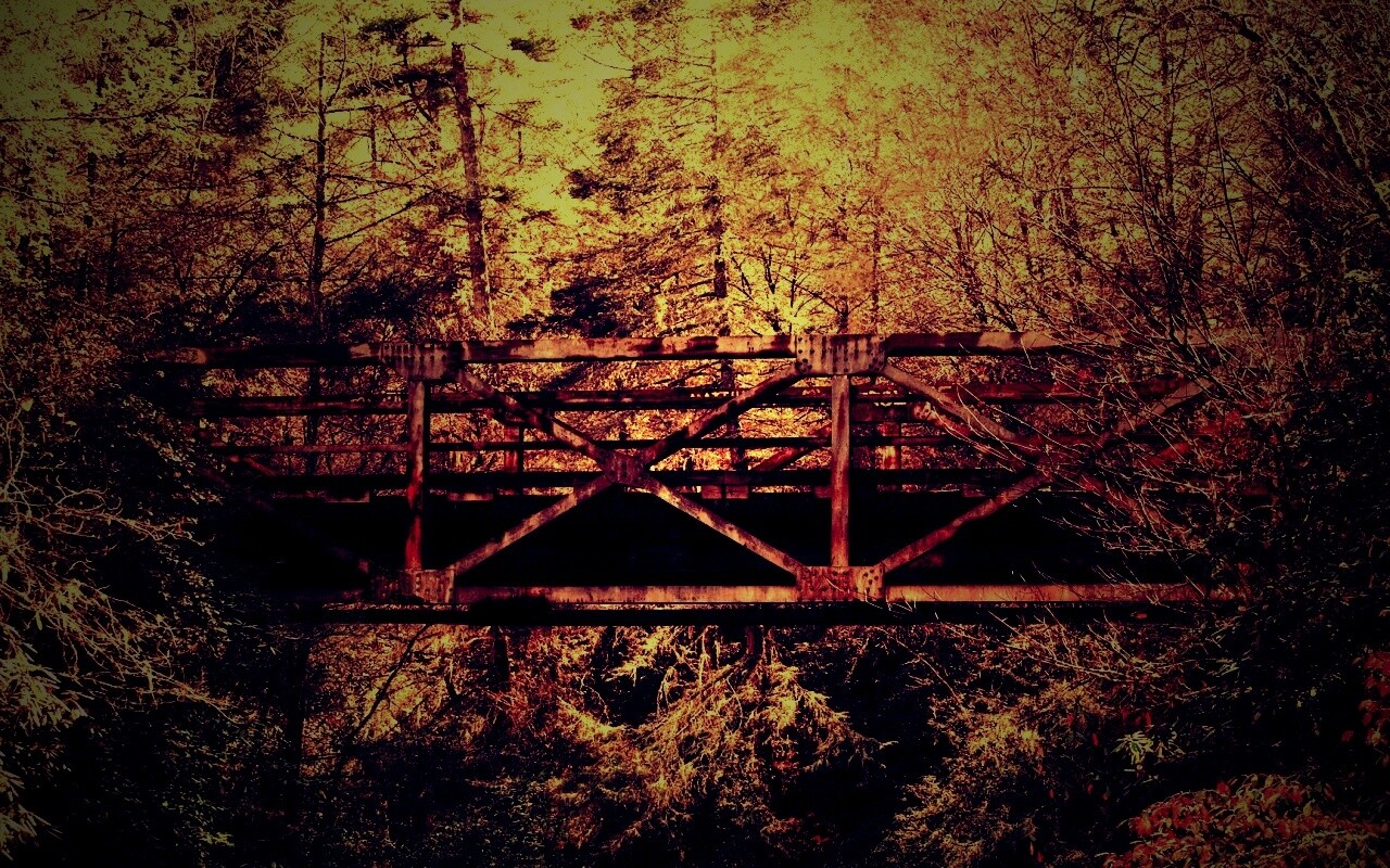 Металлический мост в лесной глуши обои