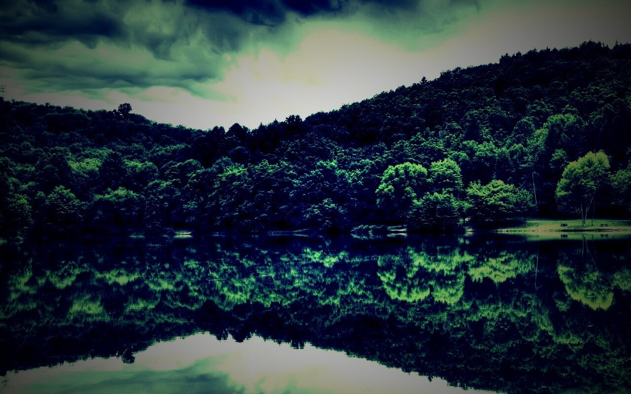 Лесной берег обои