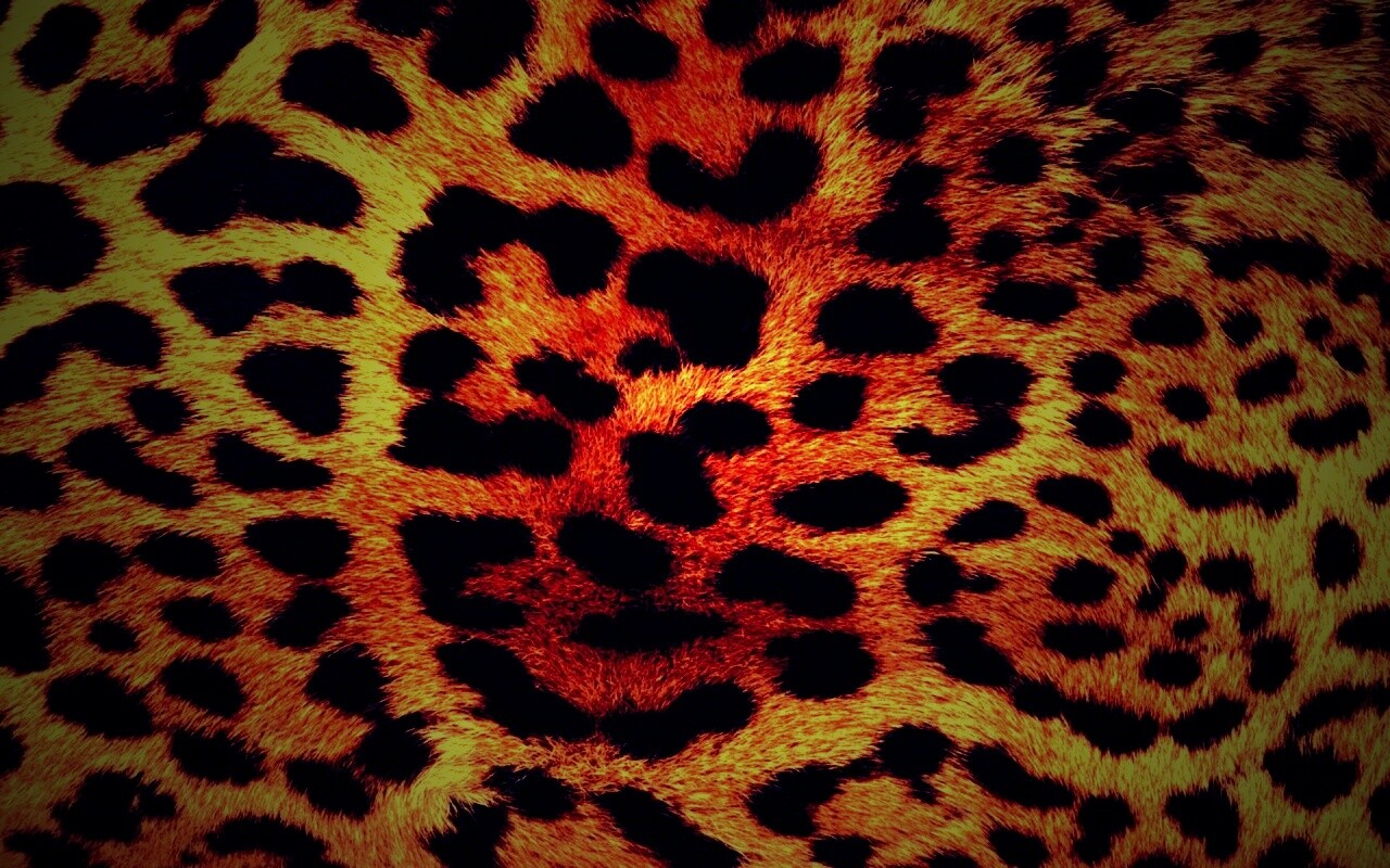 Шкура гепарда обои
