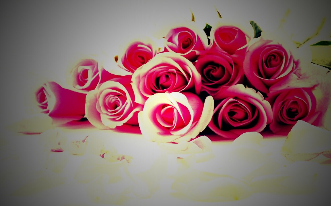 Букет роз обои