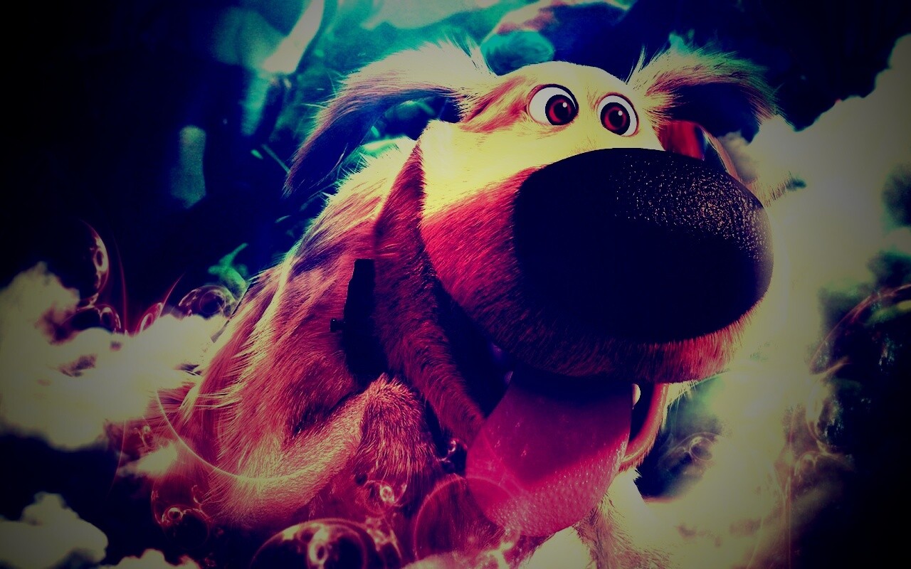 Собака из мультфильма Up обои