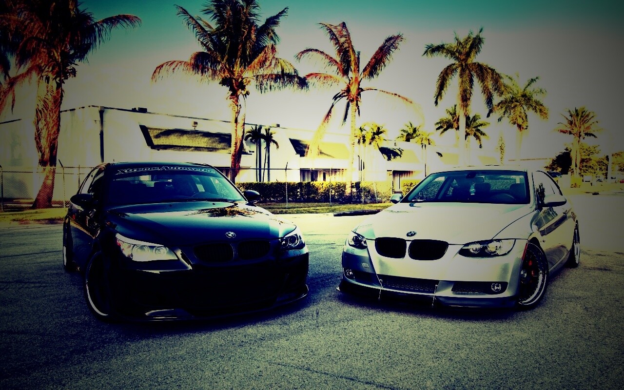 Две БМВ обои