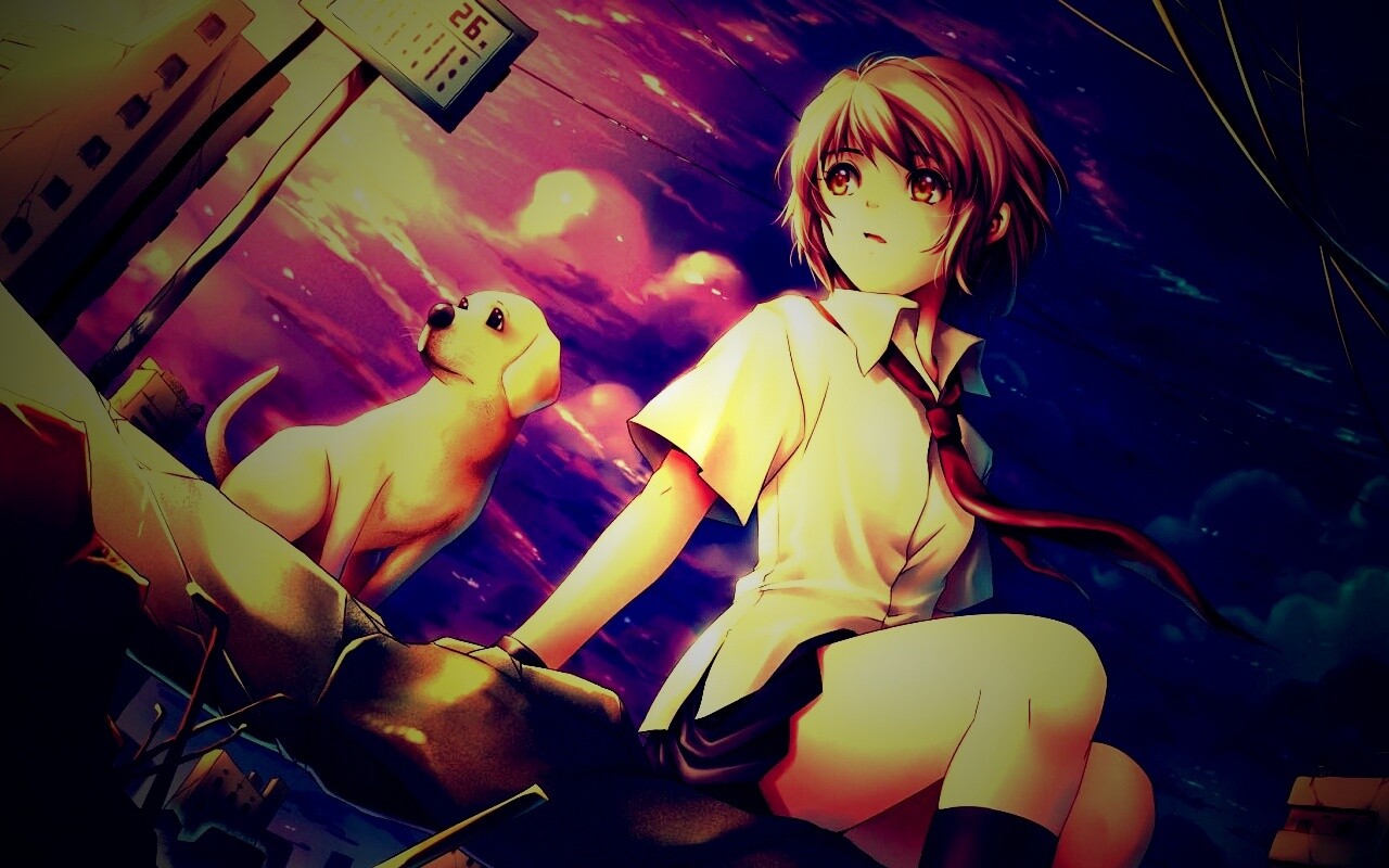 Девочка с собакой обои