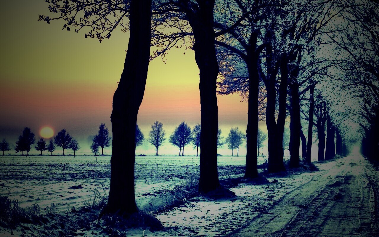 Морозное утро обои