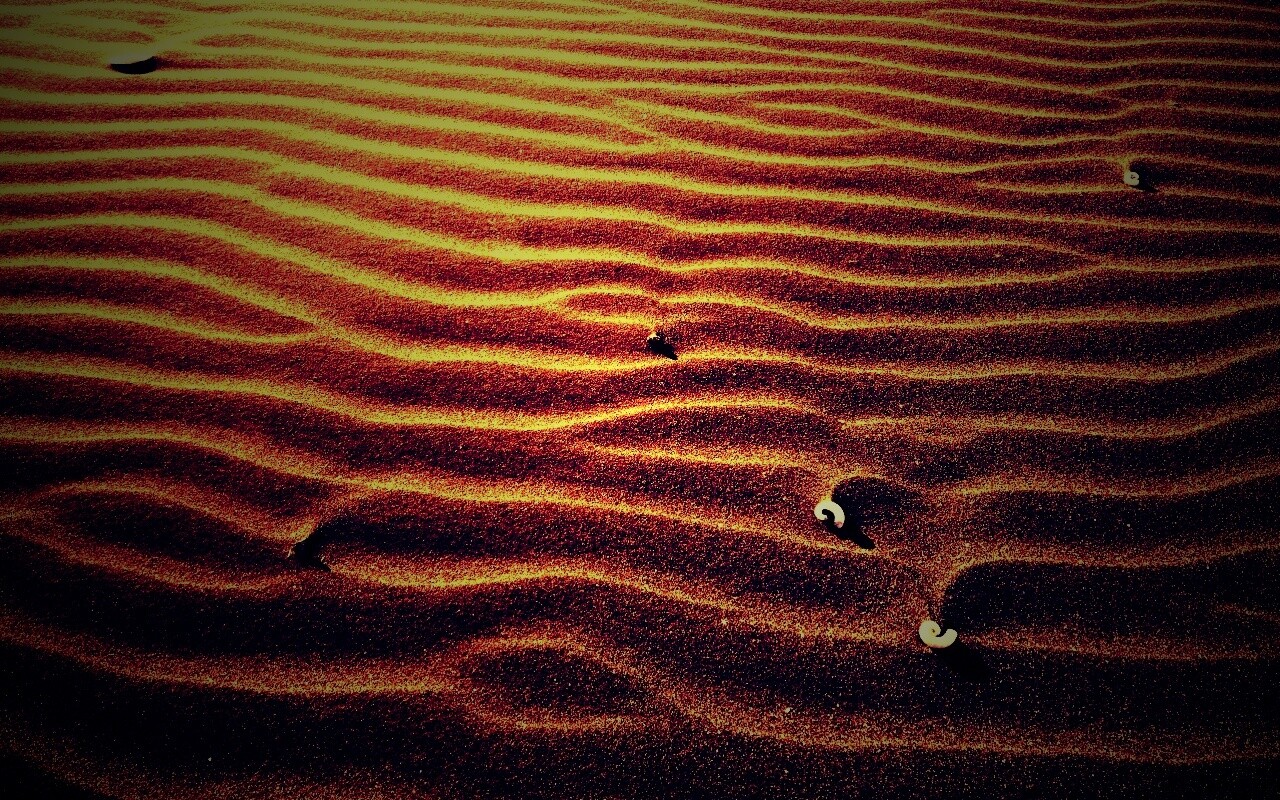 Песок и раковины обои