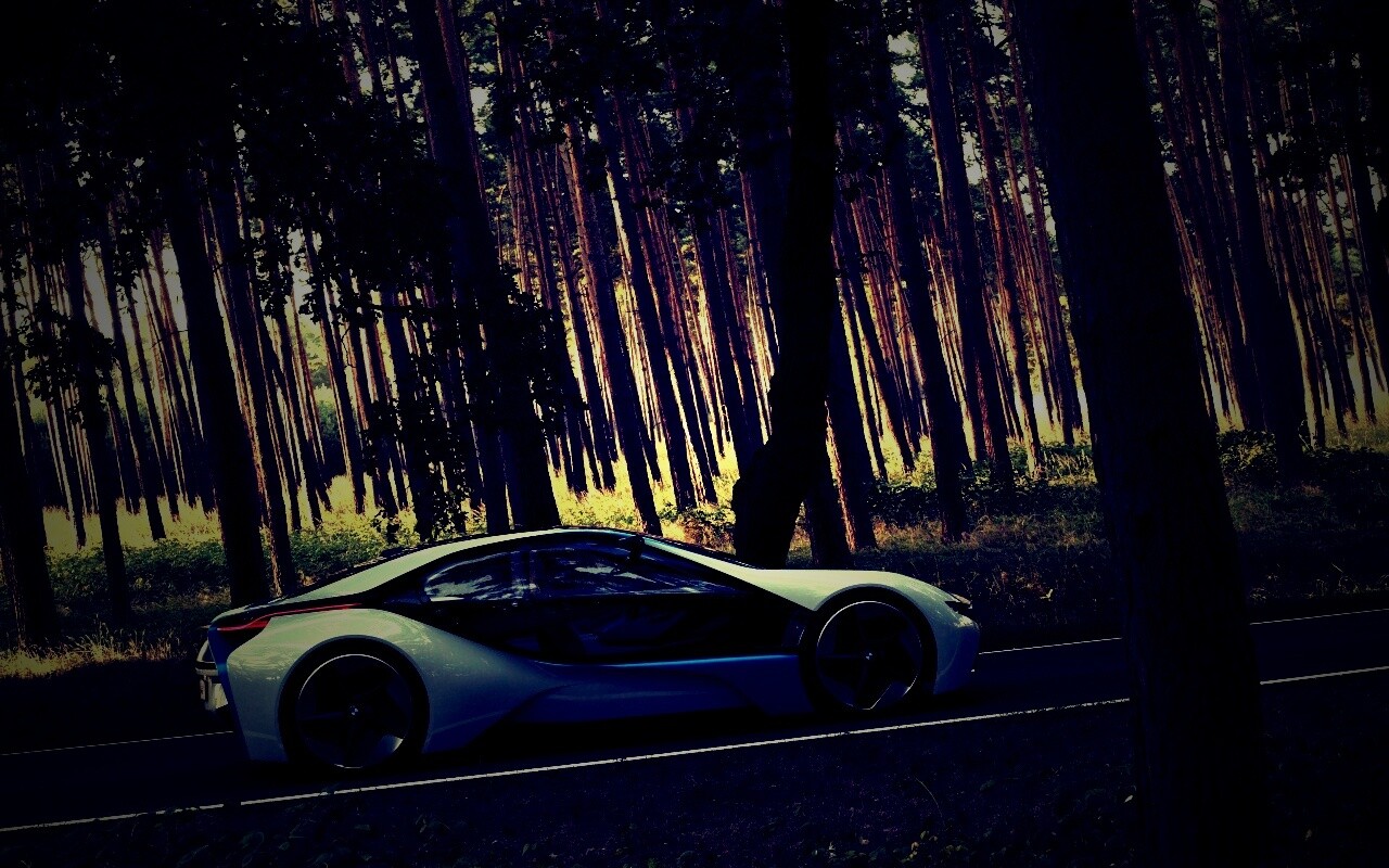 Спорткар BMW на лесной дороге обои