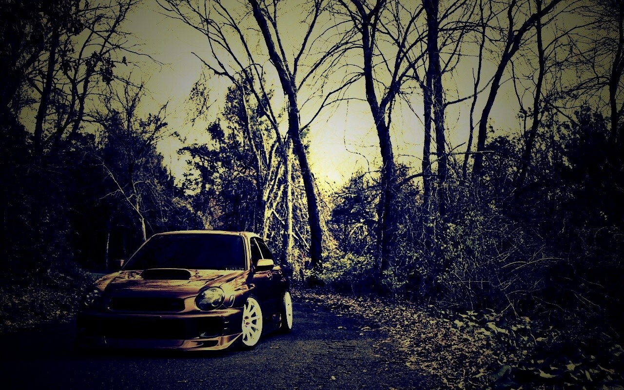 Субару Импреза на лесной дороге обои