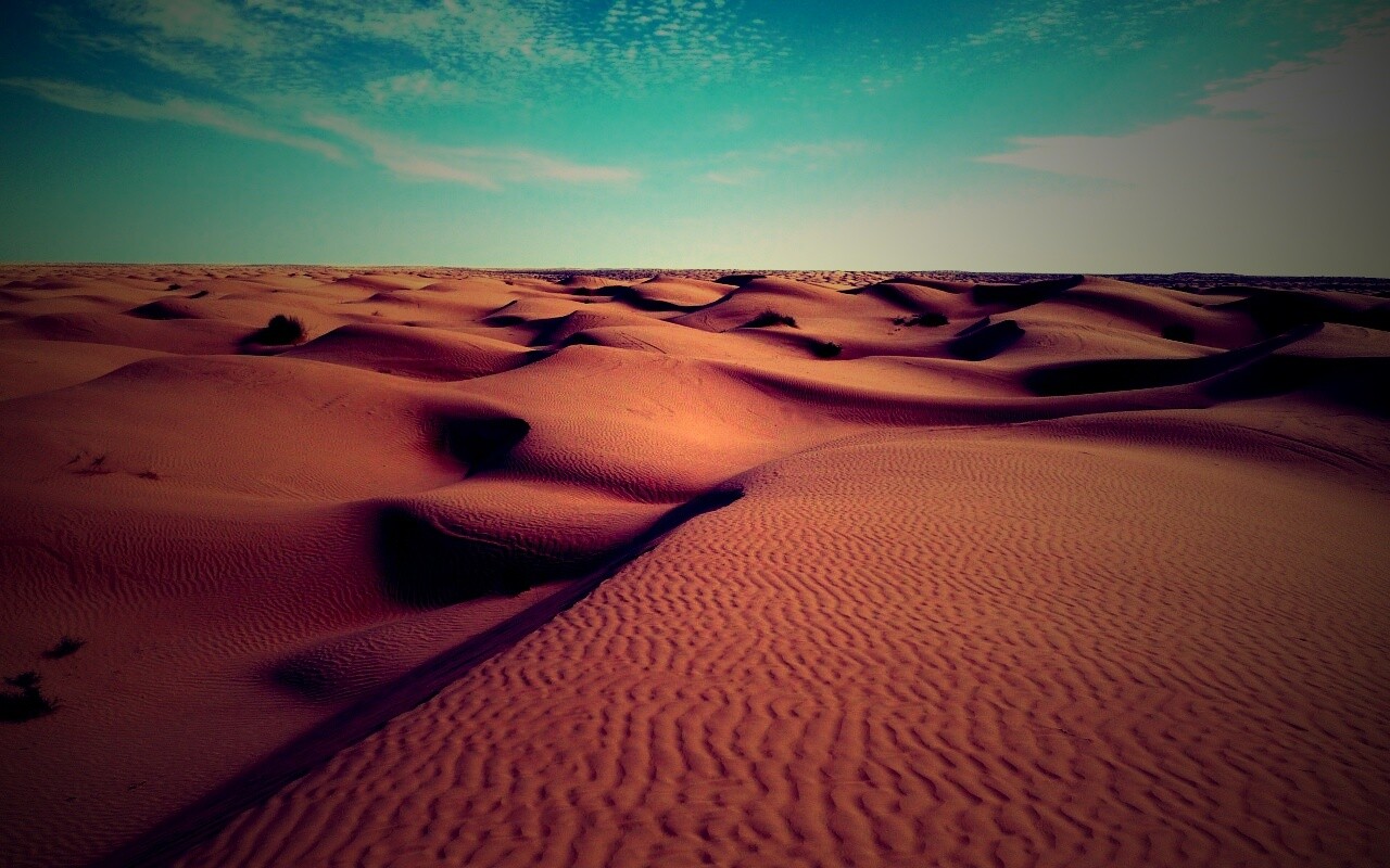 Пустыня до самого горизонта обои
