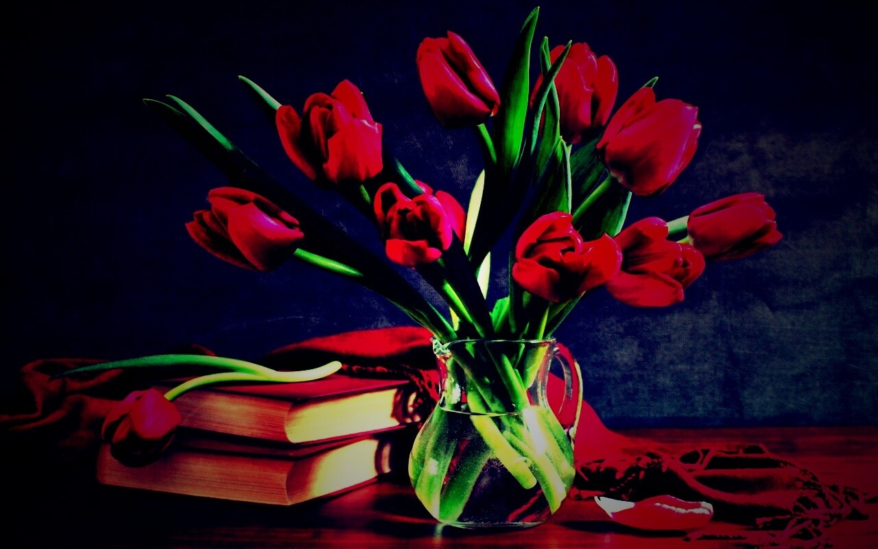 Букет красных тюльпанов обои