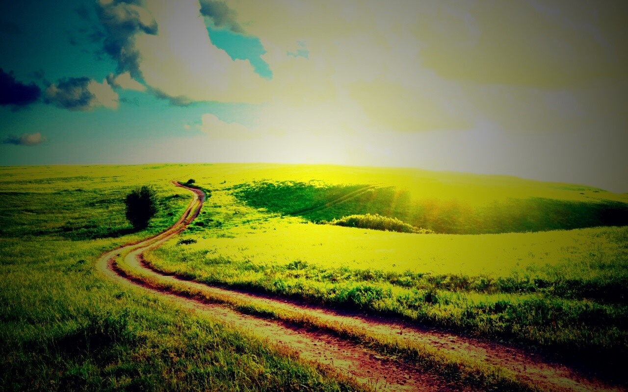 Дорога через луг обои