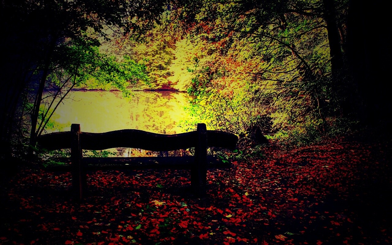 Скамейка в лесу обои